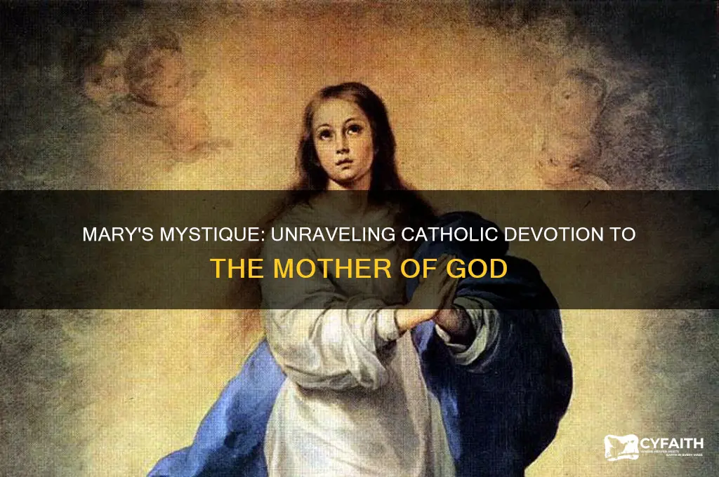 why are catholics obsessed with mary