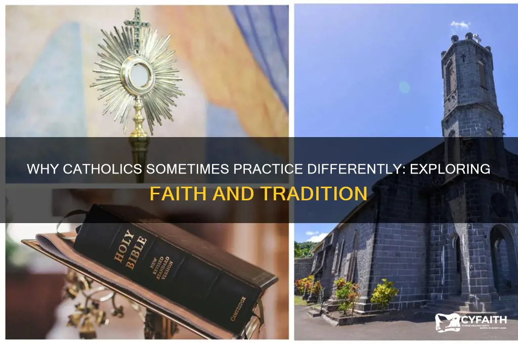 why are catholics only sometimes