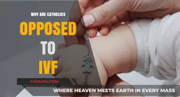 Why Catholics Oppose IVF: Ethical and Religious Concerns Explained