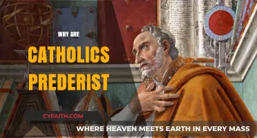Why Catholics Embrace Premillennialism: Exploring the Theological Roots