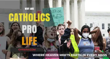 Why Catholics Embrace Pro-Life Values: Faith, Morality, and Sanctity of Life