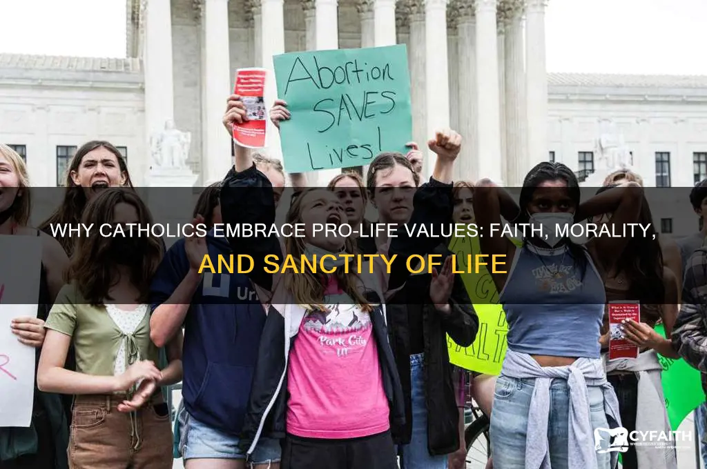 why are catholics pro life