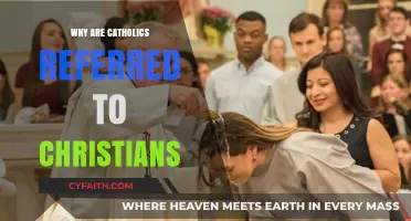 Understanding the Catholic-Christian Connection: A Shared Faith Explained