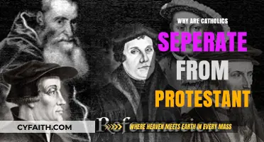 Why Catholics and Protestants Remain Separate: Historical and Theological Insights
