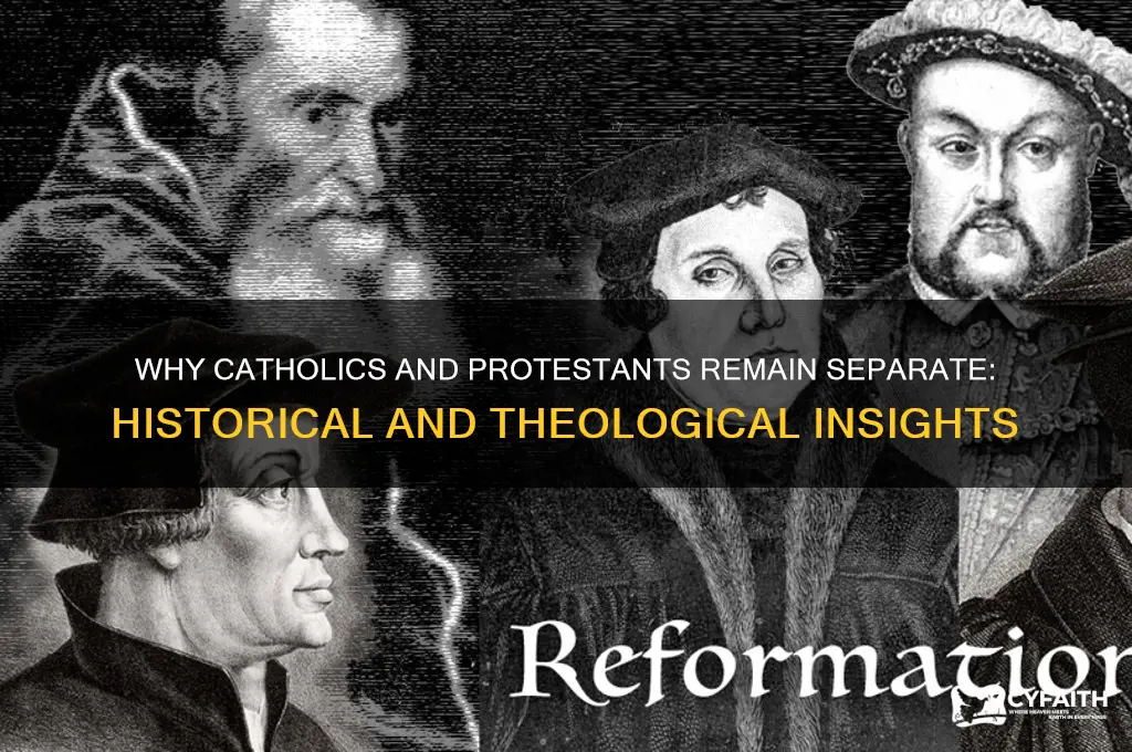 why are catholics seperate from protestant