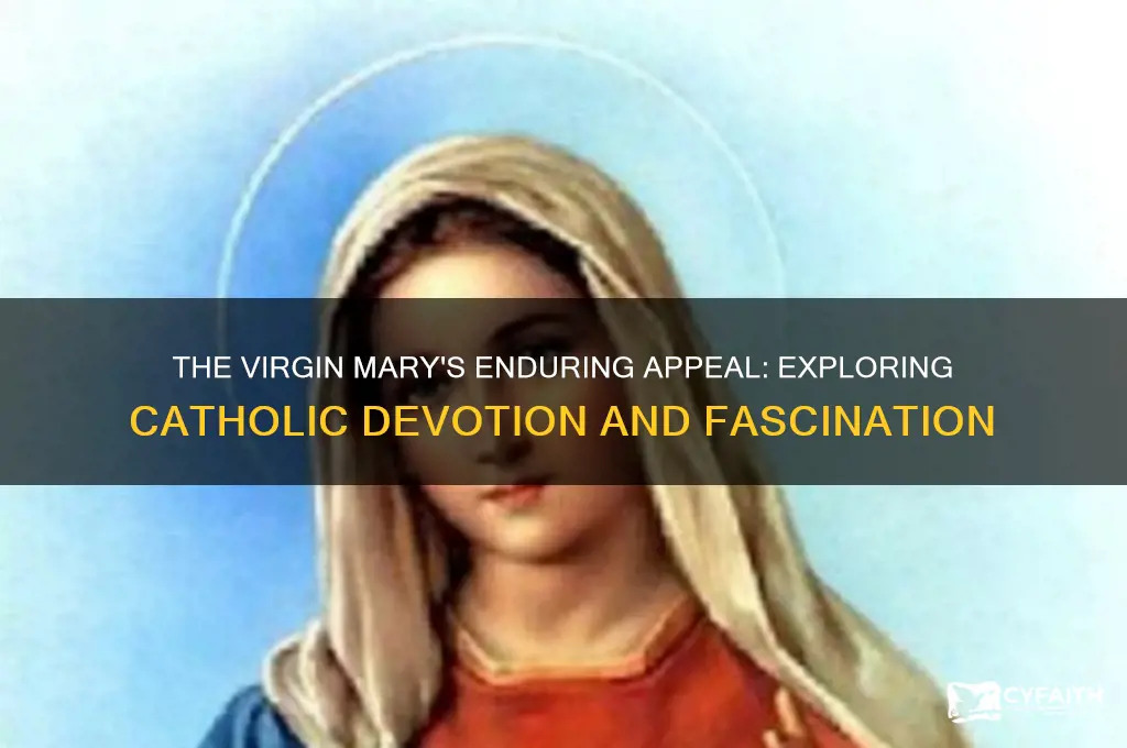 why are catholics so facinated with the virgin mary