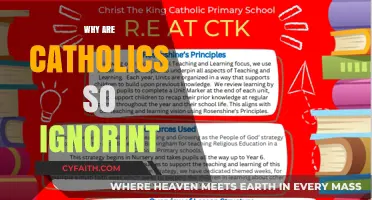 Debunking Stereotypes: Understanding Catholic Education and Cultural Misconceptions