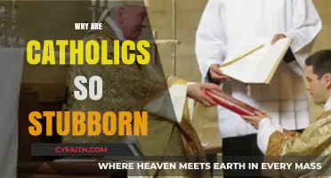 Understanding Catholic Stubbornness: Faith, Tradition, and Unwavering Convictions Explored