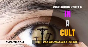Are Catholics in a Cult? Debunking Misconceptions About Catholic Teachings