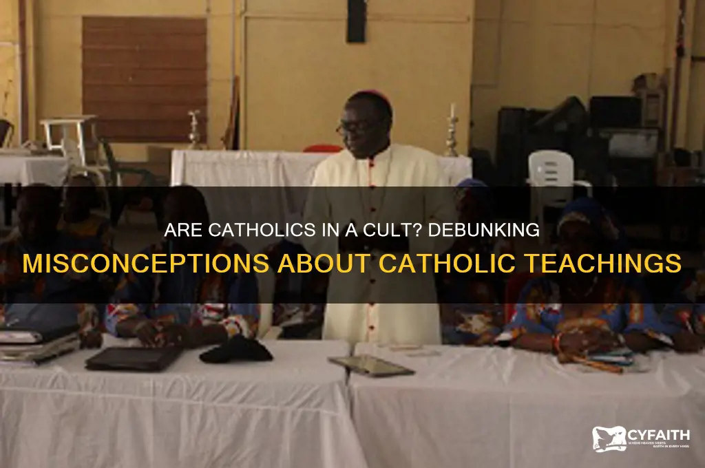 why are catholics taught to be in a cult