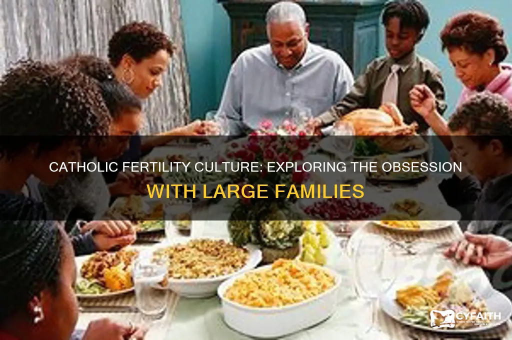 why are catholics upsessed with having kids