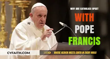 Pope Francis' Progressive Reforms: Why Some Catholics Are Unsettled