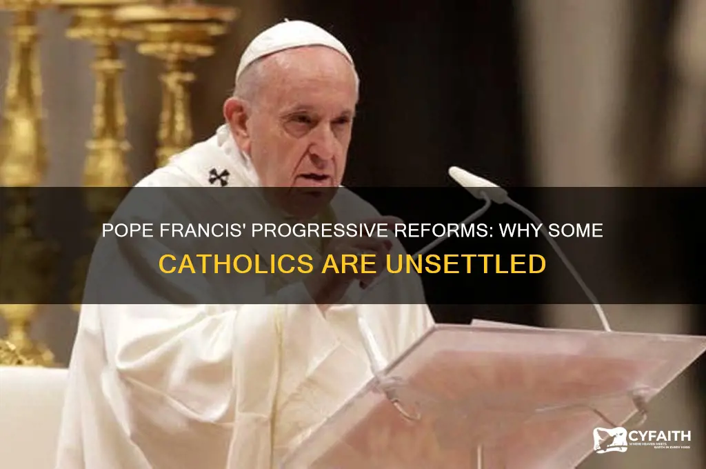 why are catholics upset with pope francis