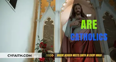 Understanding the Faith: Why Are Catholics Devoted to Tradition?