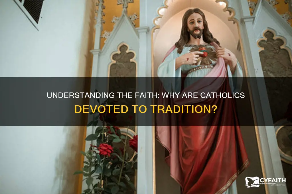 why are catholics