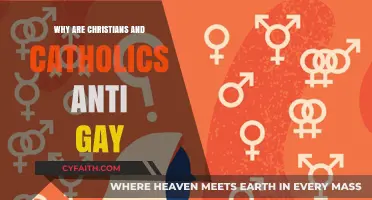 Understanding Religious Opposition to LGBTQ+ Rights: Christian and Catholic Perspectives