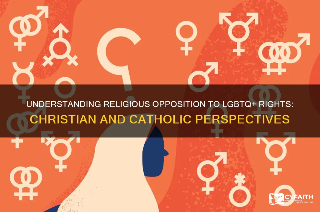 why are christians and catholics anti gay