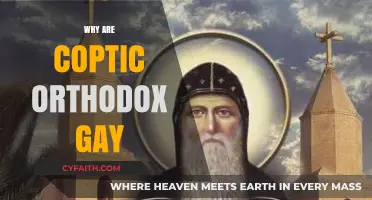 Exploring Misconceptions About Coptic Orthodox Christians and Sexuality