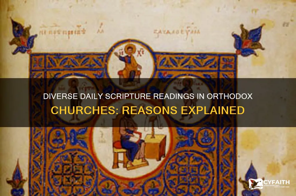 why are daily scripture readings different in each orthodox church