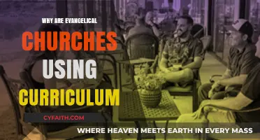 Exploring the Role of Curriculum in Evangelical Church Education