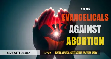 Understanding Evangelical Opposition to Abortion: A Compassionate Exploration