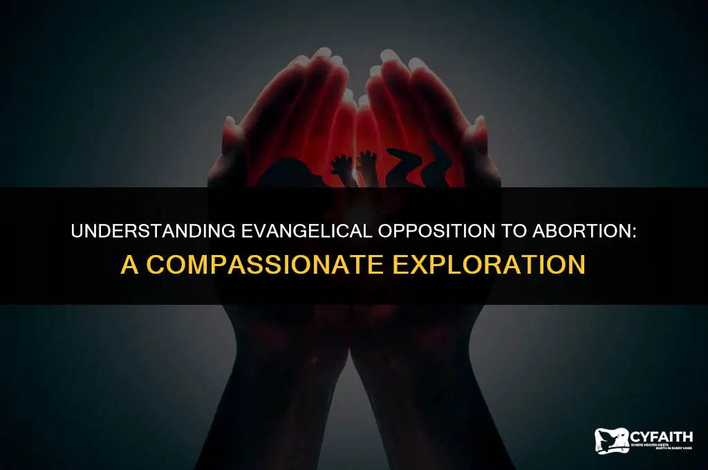 why are evangelicals against abortion