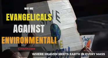 Unraveling the Conflict: Evangelicals and Environmentalism
