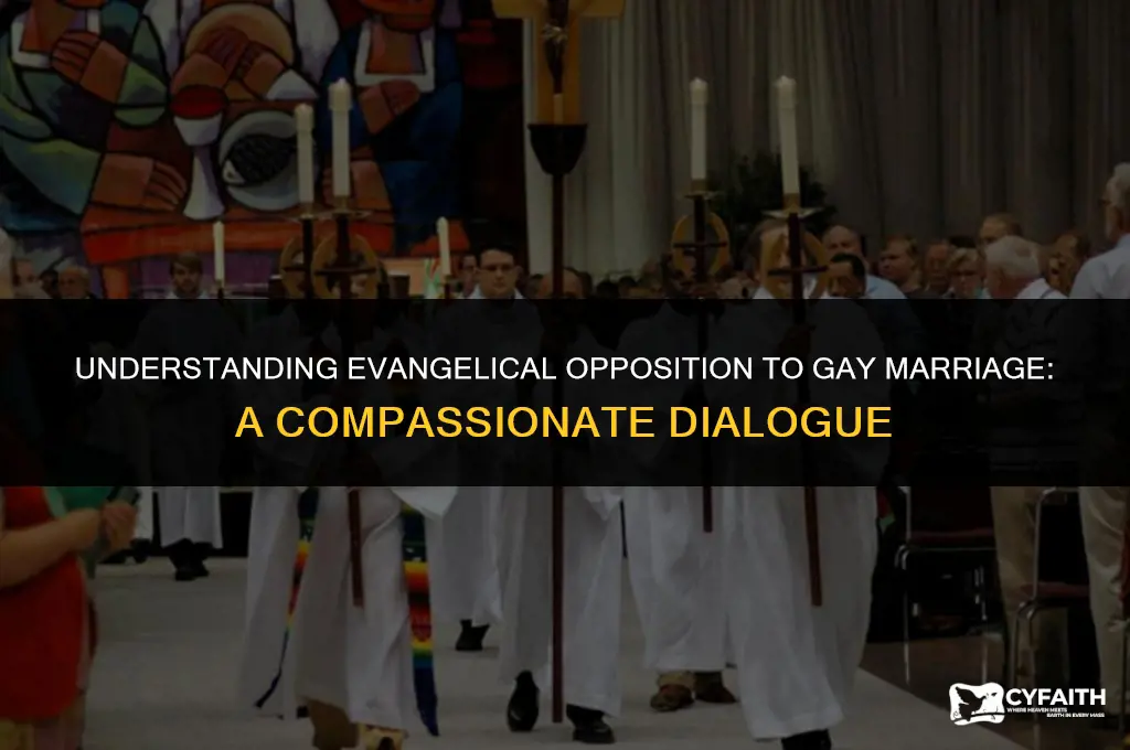why are evangelicals against gay marriage