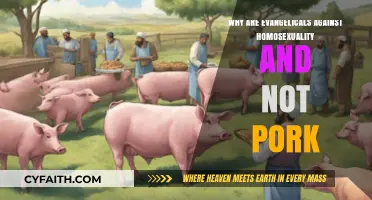 Understanding Evangelical Perspectives: Homosexuality, Pork, and Religious Doctrine