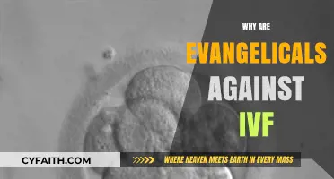 Understanding Evangelical Concerns: The Complexities of IVF Opposition