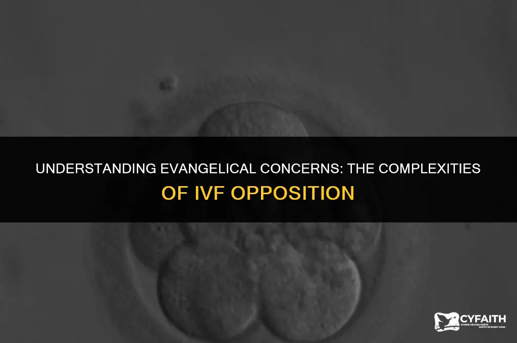 why are evangelicals against ivf