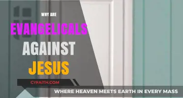 Unraveling the Paradox: Evangelical Opposition to Jesus' Teachings
