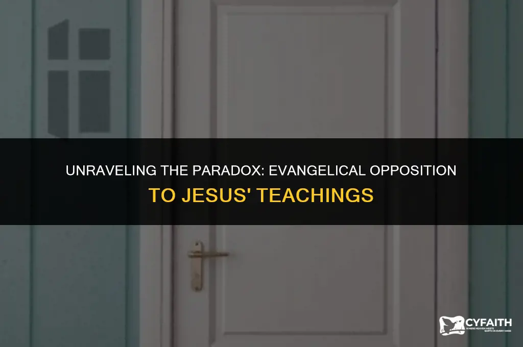 why are evangelicals against jesus