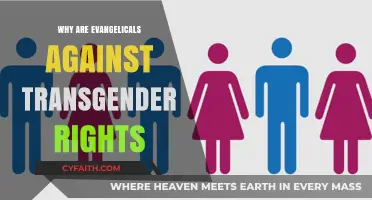 Understanding Evangelical Opposition to Transgender Rights: A Complex Issue
