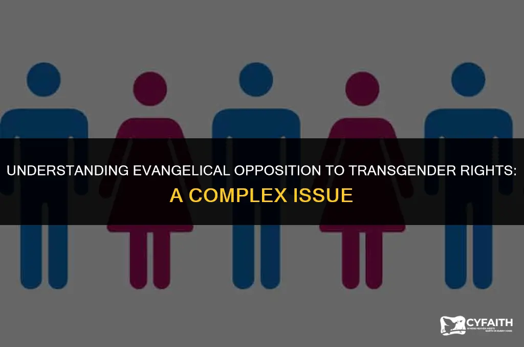 why are evangelicals against transgender rights