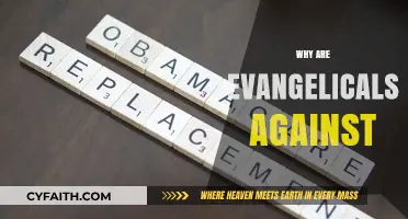 Understanding Evangelical Opposition: A Compassionate Exploration