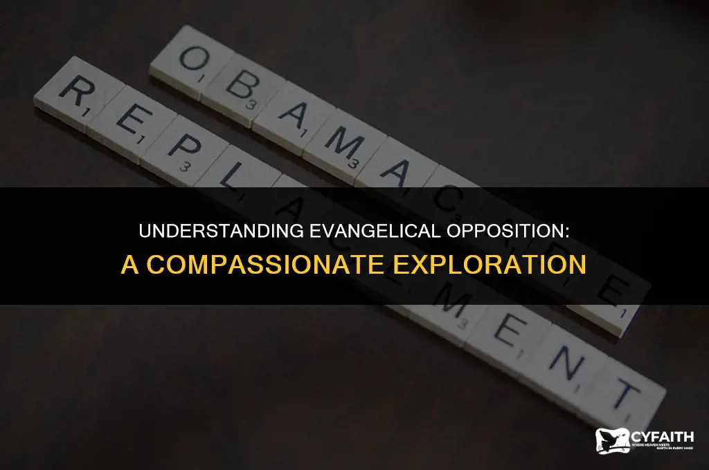 why are evangelicals against
