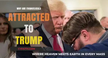 Understanding the Evangelical Appeal: Why Trump Resonates with the Faithful