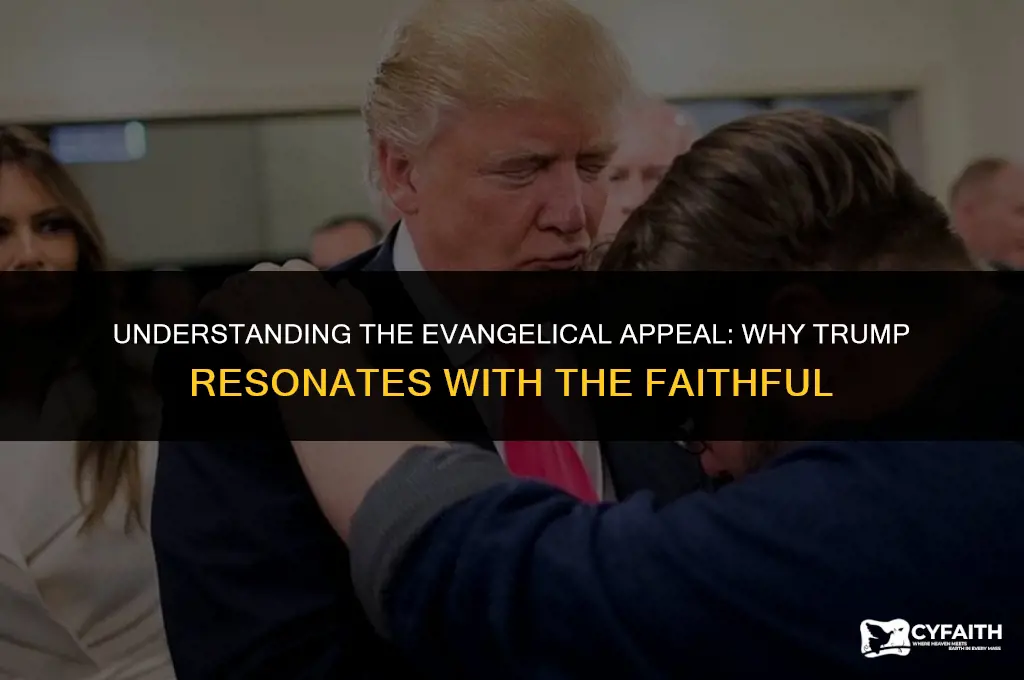 why are evangelicals attracted to trump