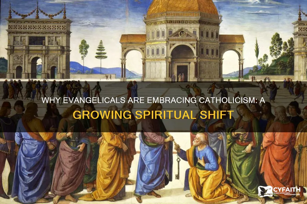 why are evangelicals becoming catholic