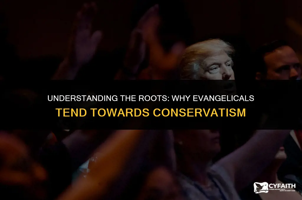 why are evangelicals conservative
