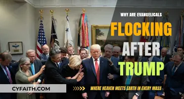 Understanding the Evangelical Support for Trump: A Deep Dive