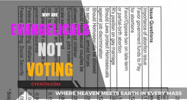 Understanding the Evangelical Vote: Factors Influencing Their Political Participation