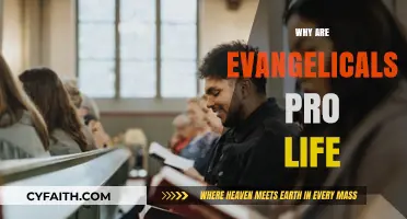 Understanding the Evangelical Perspective on Pro-Life Stance