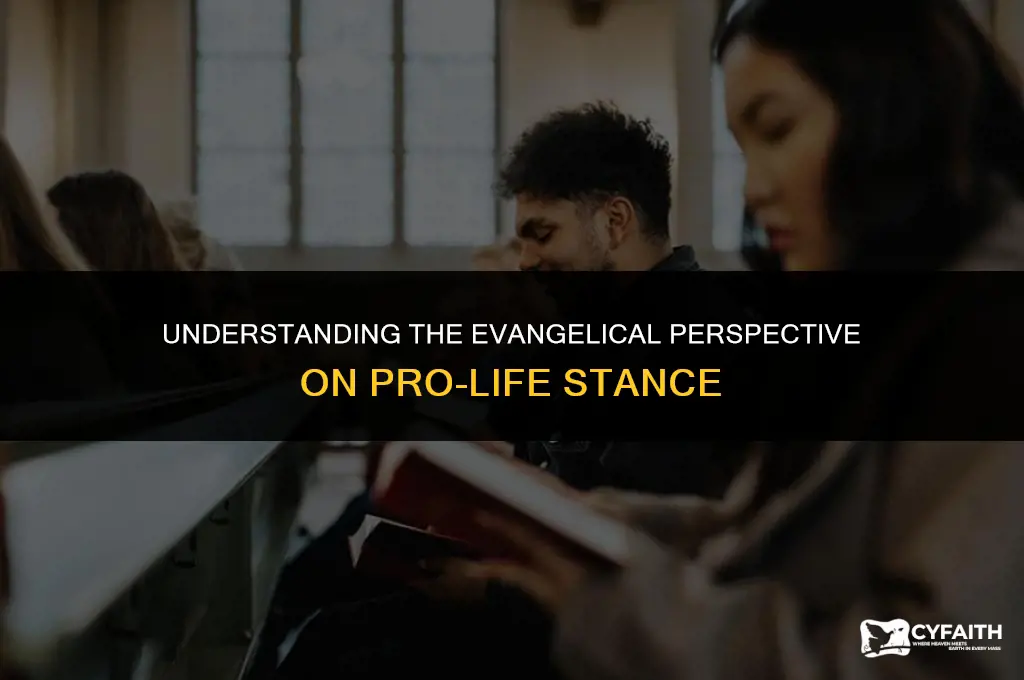 why are evangelicals pro life