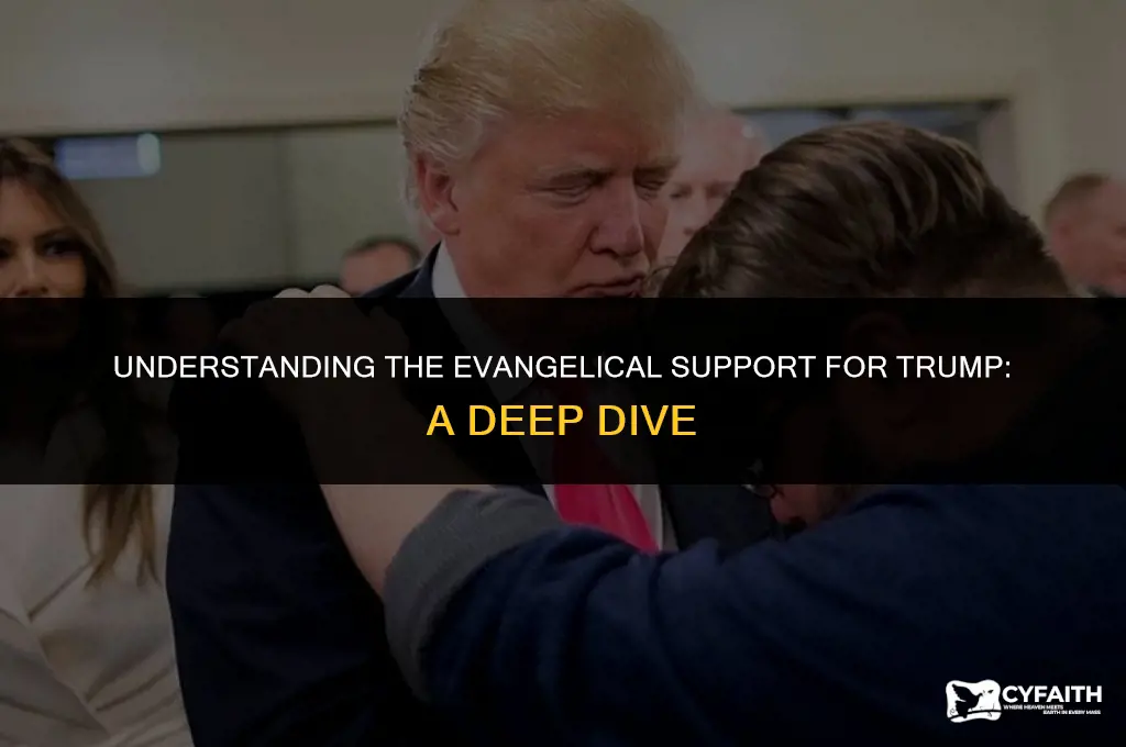 why are evangelicals pro trump