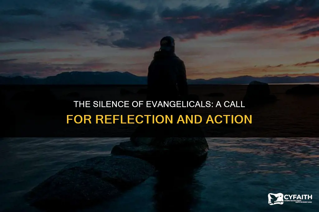 why are evangelicals silent