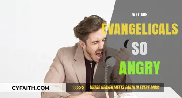 Understanding Evangelical Anger: A Compassionate Exploration