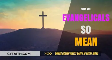 Understanding the Perception of Meanness in Evangelical Communities