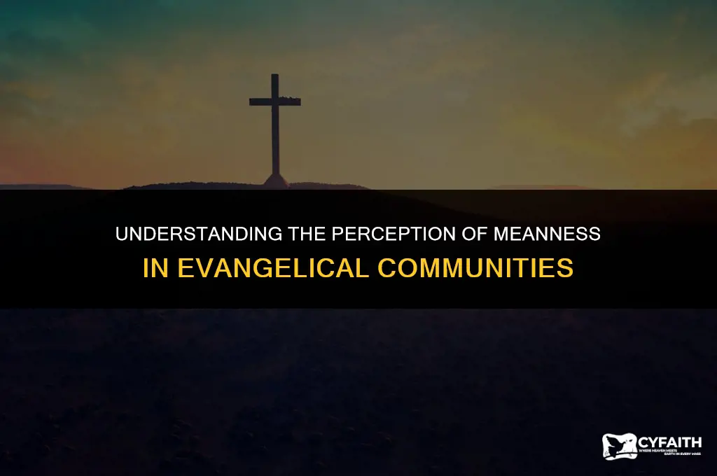 why are evangelicals so mean